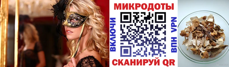 kraken маркетплейс  цены   Дубна  Псилоцибиновые грибы GOLDEN TEACHER 